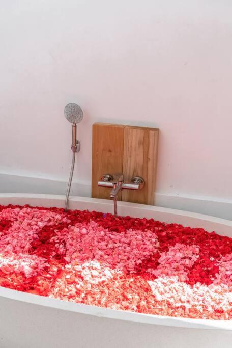 Asin - New Tropical & Modern 3br - Villa Canggu (Bali)