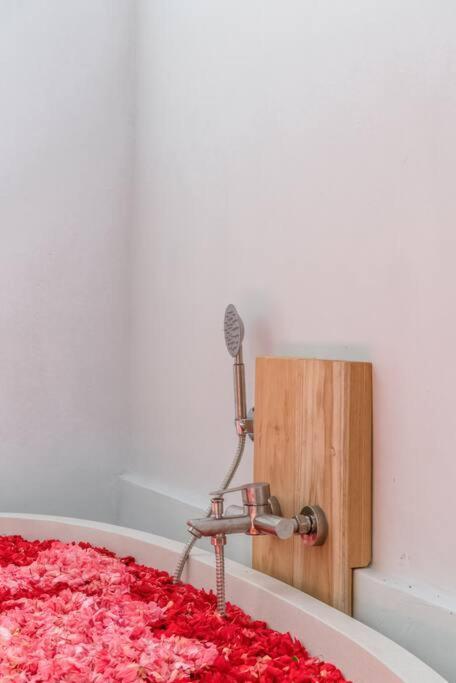 Villa Asin - New Tropical & Modern 3br - Canggu (Bali)