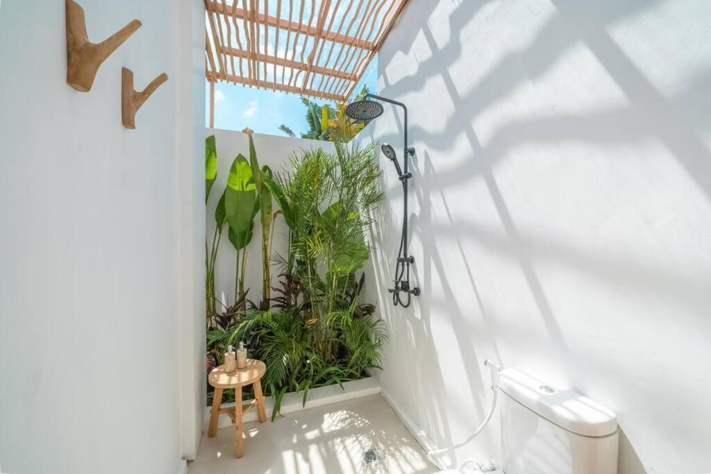 Villa Asin - New Tropical & Modern 3br - Canggu (Bali)